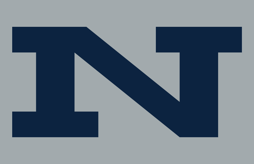 Nevada Wolf Pack 1972-1975 Helmet Logo diy iron on heat transfer